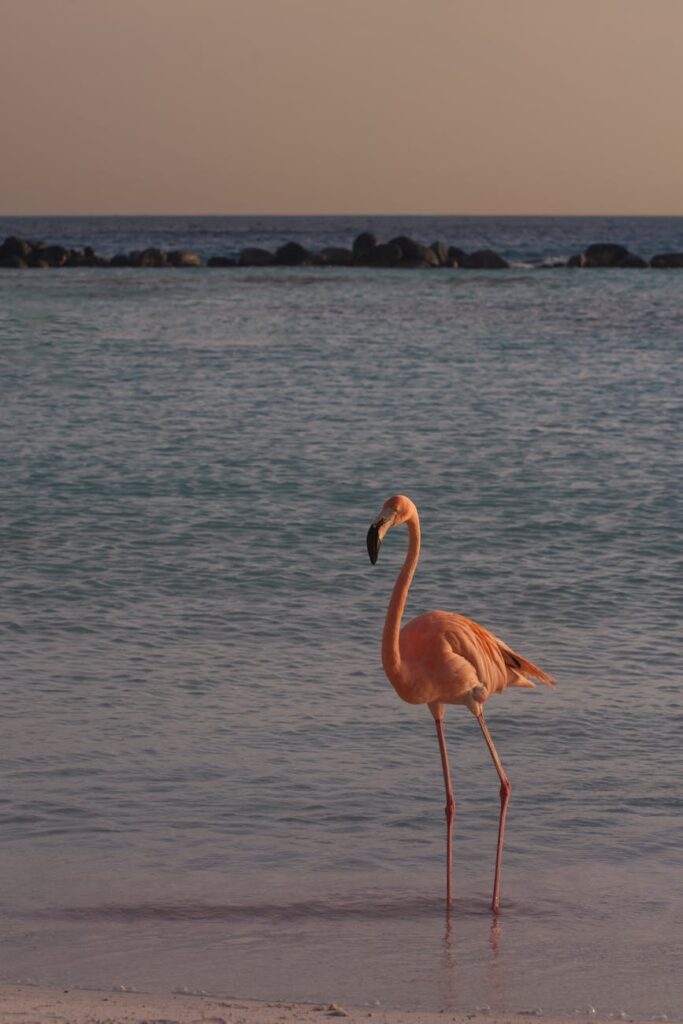 Aruba CX campus switch with AOS-CX interface displaying network configuration dashboard in a modern data center.