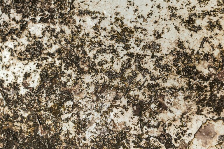 Illustration of Canonical Joins Rust Foundation: Exciting Step Toward Safer, Better Software